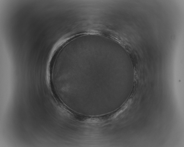 X0000112910294200908311242