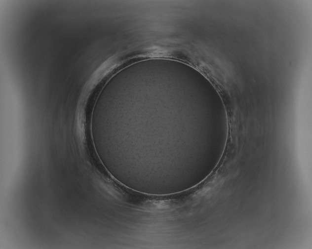 X0000112910295200908311242