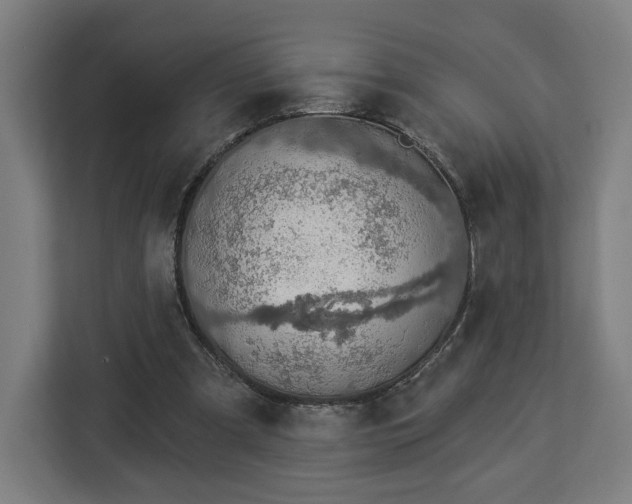 X0000112910297200908311242