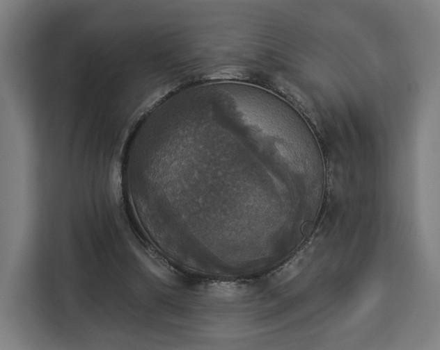 X0000112910298200908311242