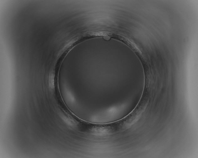 X0000112910299200908311242