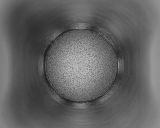 X0000112910301200908311242