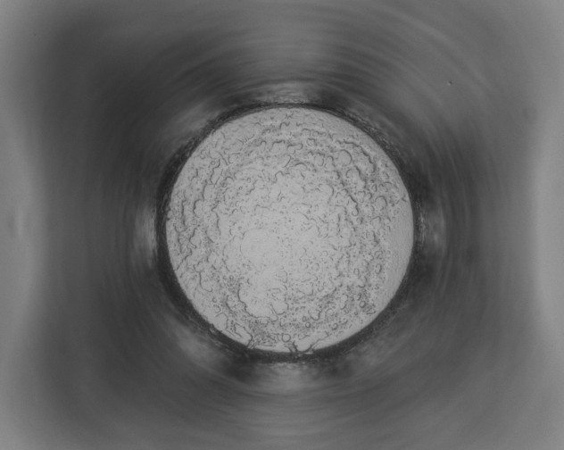 X0000112910302200908311242