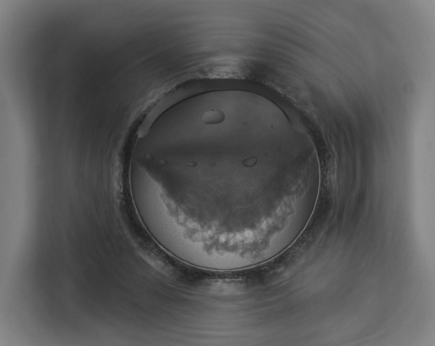 X0000112910303200908311242