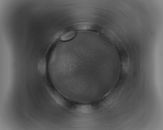 X0000112910304200908311242