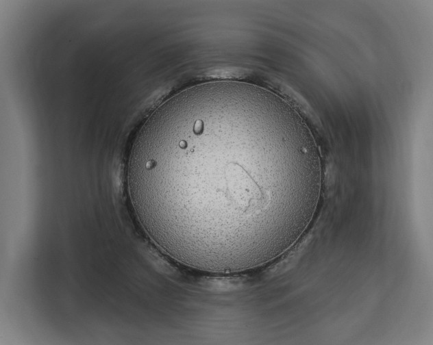 X0000112910305200908311242