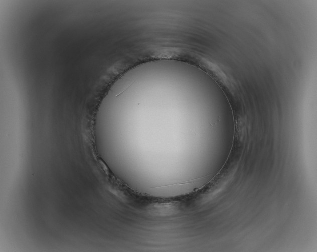 X0000112910307200908311242