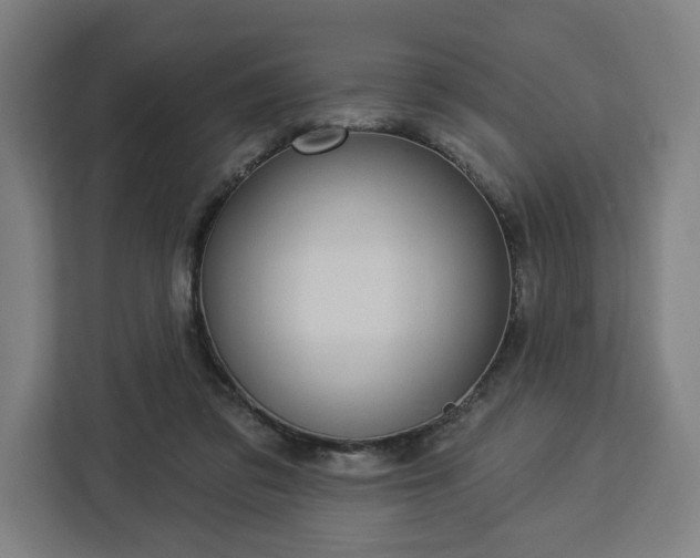 X0000112910309200908311242