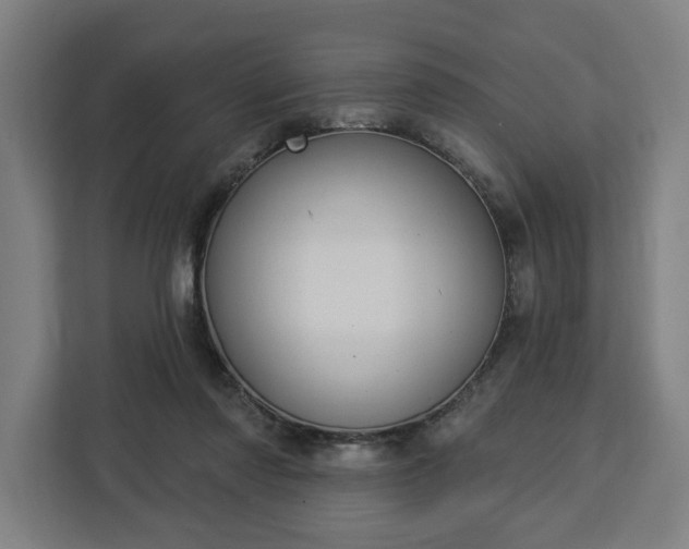 X0000112910310200908311242