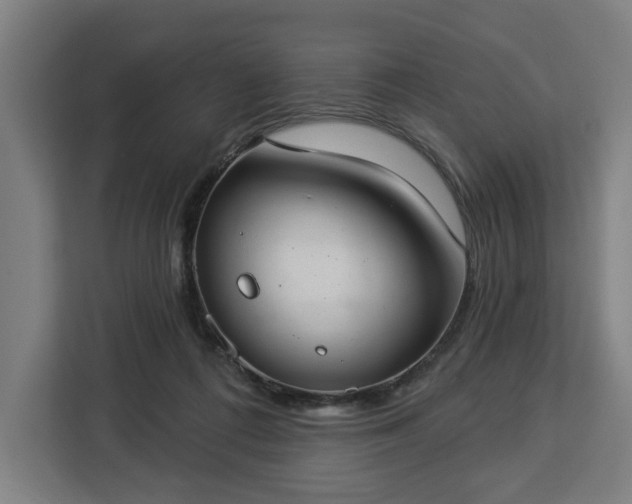 X0000112910312200908311242