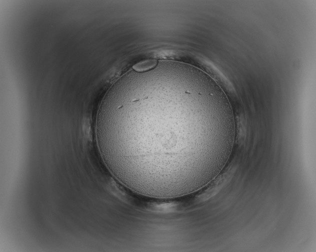 X0000112910313200908311242