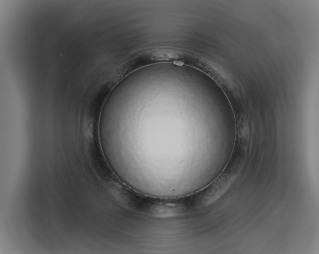 X0000112910315200908311242