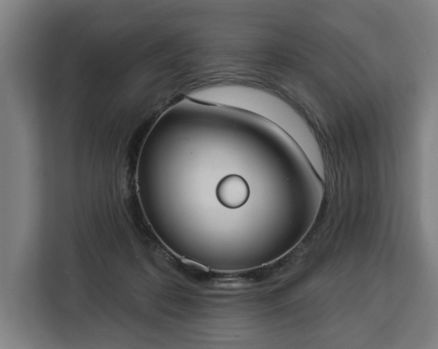 X0000112910316200908311242