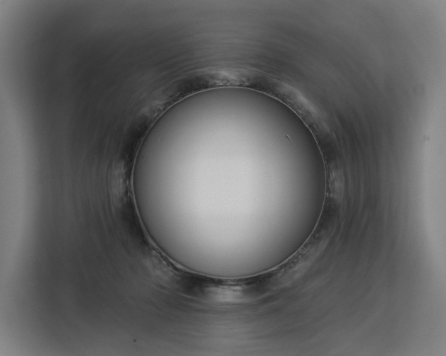 X0000112910318200908311242