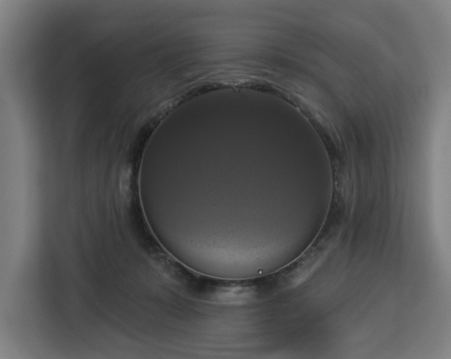 X0000112910319200908311242