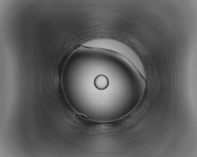 X0000112910320200908311242