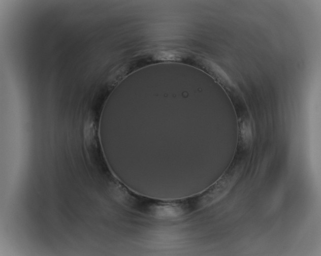 X0000112910322200908311242