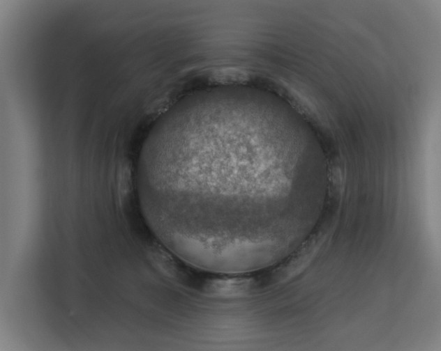 X0000112910323200908311242