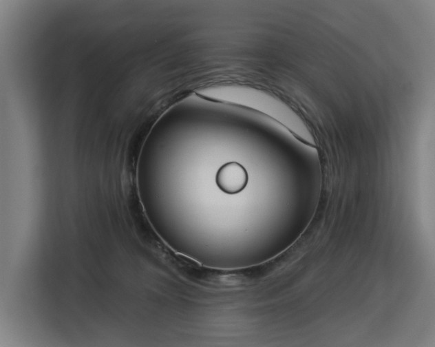 X0000112910324200908311242