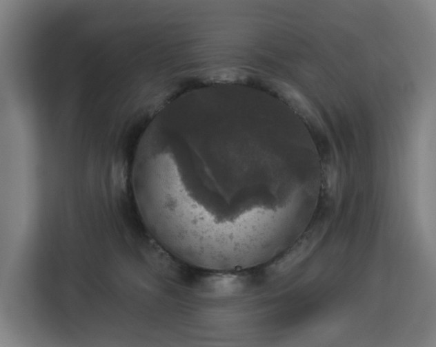 X0000112910326200908311242