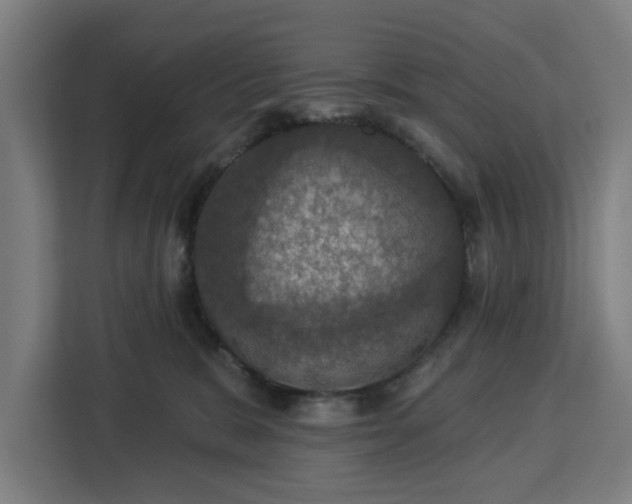 X0000112910327200908311242