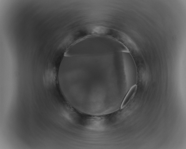 X0000112910328200908311242