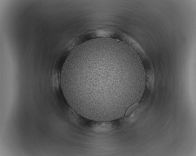 X0000112910329200908311242