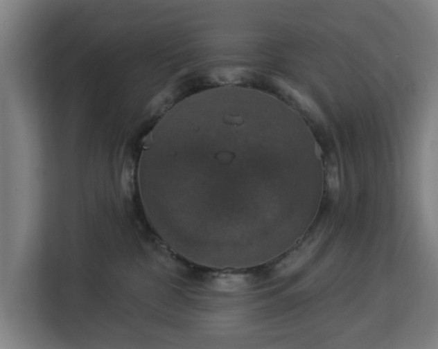 X0000112910332200908311242