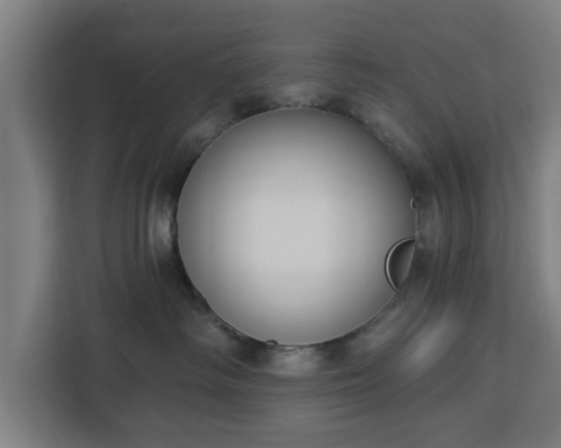 X0000112910334200908311242