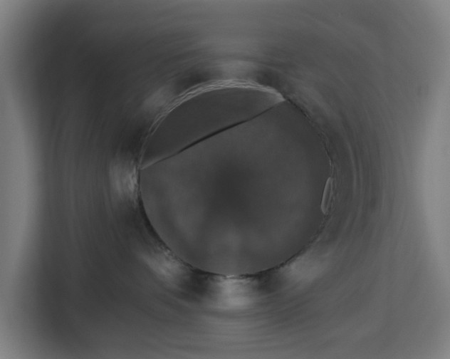 X0000112910336200908311242