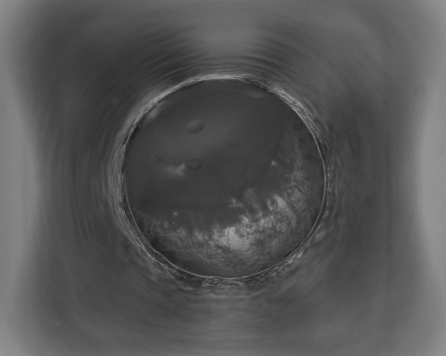 X0000112910337200908311241