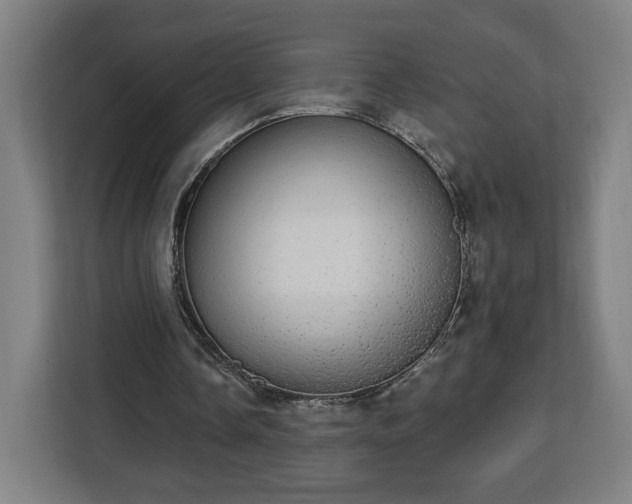 X0000112910338200908311241