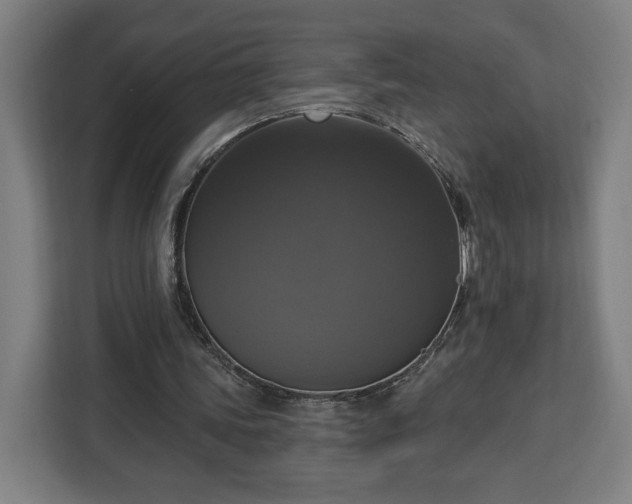 X0000112910339200908311241