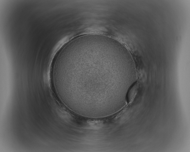 X0000112910340200908311241