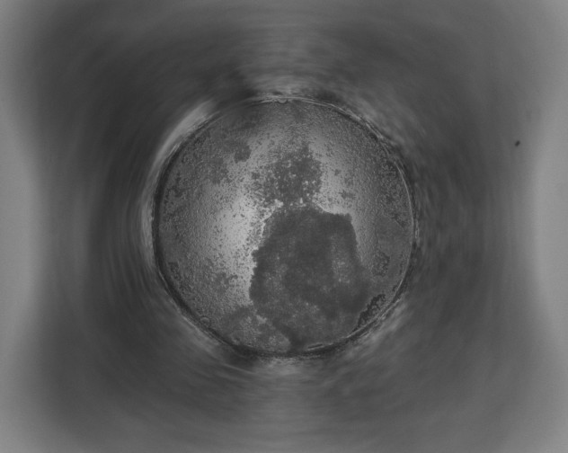 X0000112910341200908311241