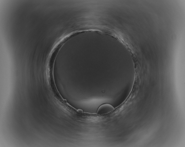 X0000112910342200908311241