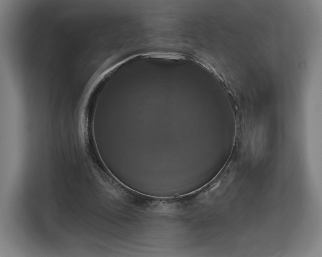 X0000112910343200908311241