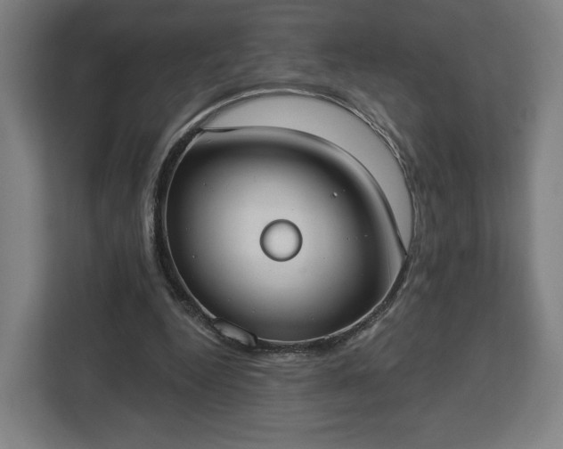 X0000112910344200908311241