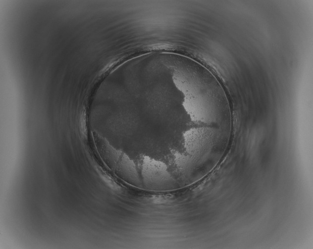 X0000112910345200908311241