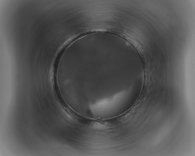 X0000112910346200908311241