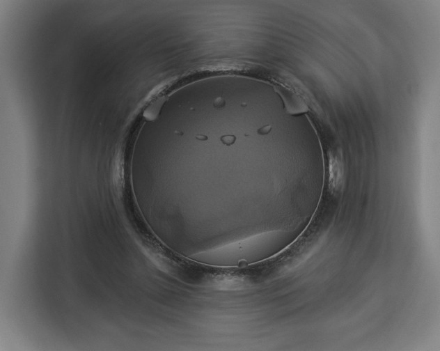 X0000112910348200908311241