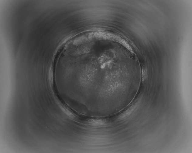 X0000112910349200908311241