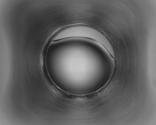 X0000112910350200908311241