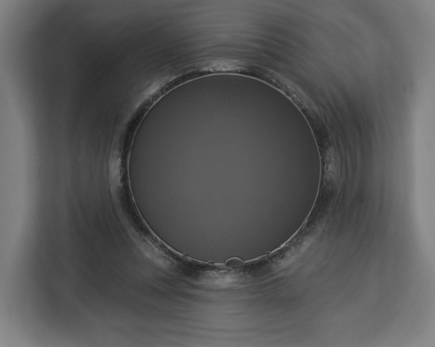 X0000112910351200908311242