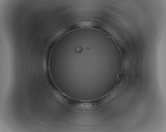 X0000112910353200908311242