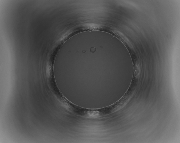 X0000112910355200908311242