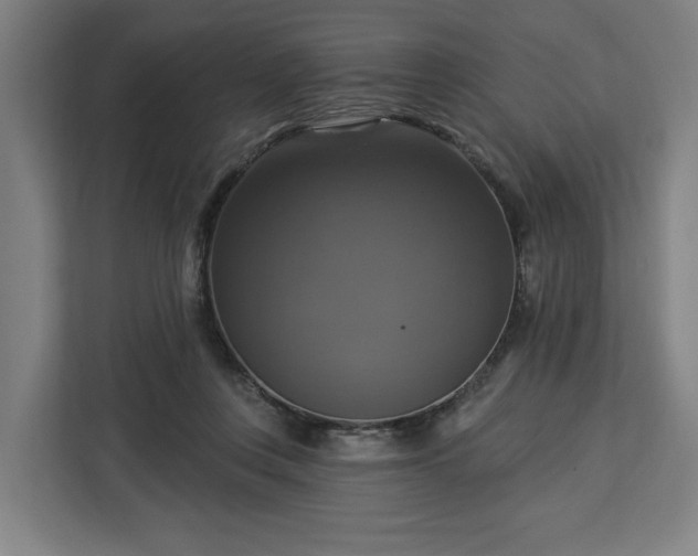 X0000112910359200908311242