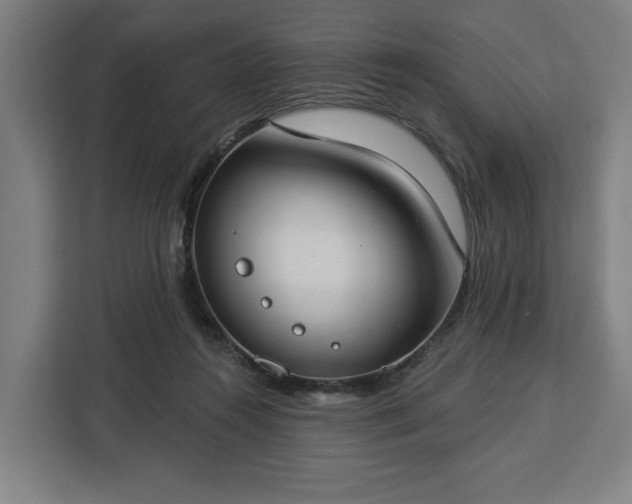 X0000112910360200908311242