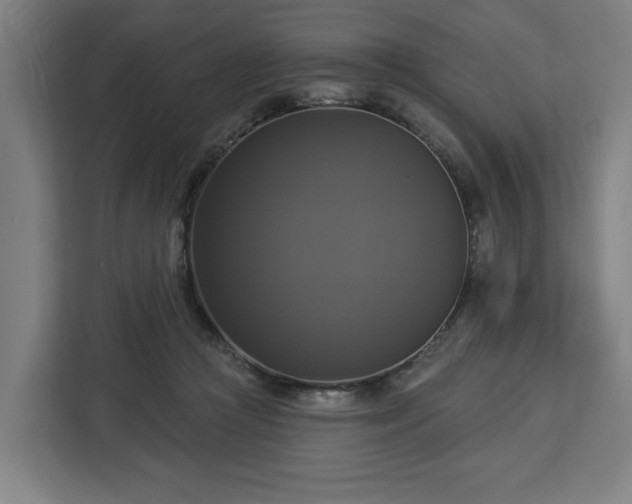 X0000112910361200908311242