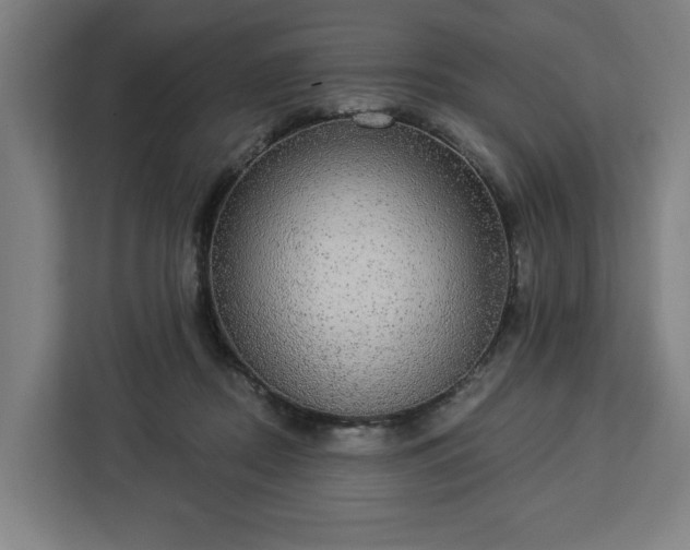 X0000112910362200908311242